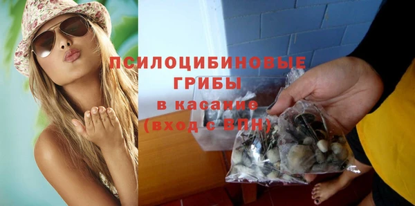 кокс Бородино