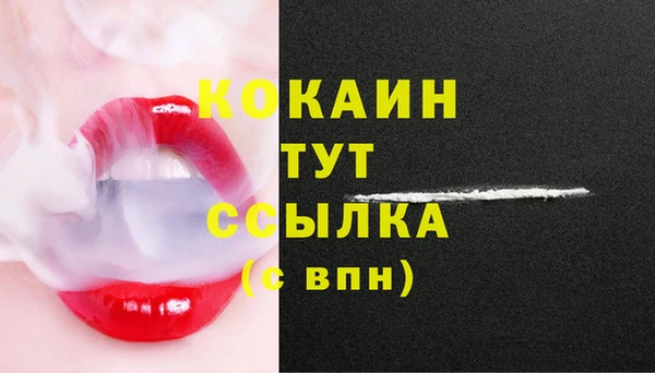мдпв Бронницы